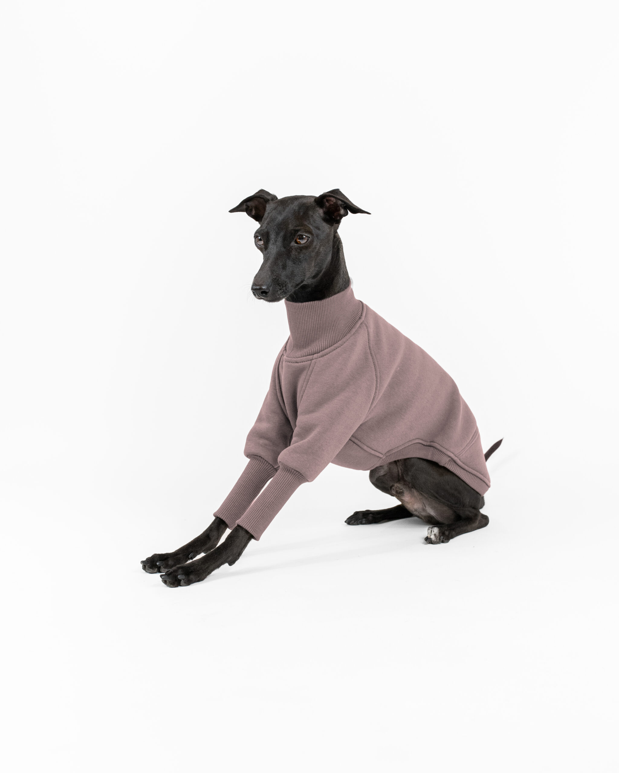 DumasGoods-italian-greyhound-clothes-core-jumper-twilight-mauve Italian Greyhound gracefuly posing in twilight mauve soft core jumper