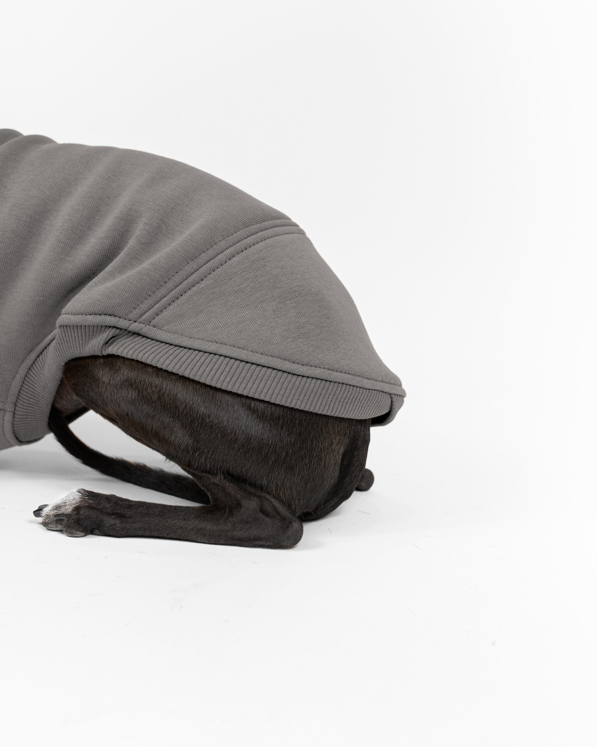 DumasGoods-italian-greyhound-clothes-core-jumper-warm-stone back part of ocean stone jumper