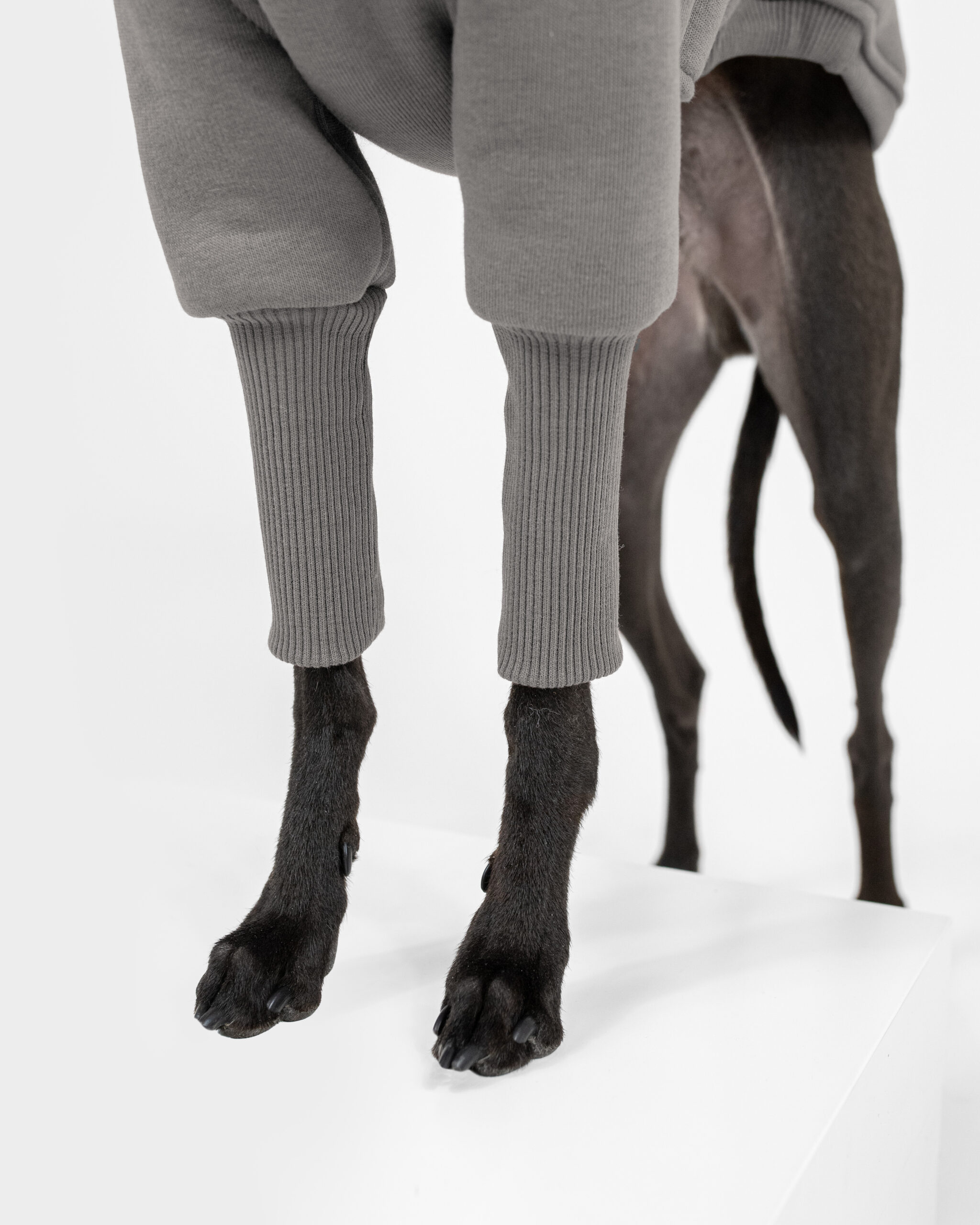 DumasGoods-italian-greyhound-clothes-core-warm-jumper-stone a close up of ocean stone jumper sleeves