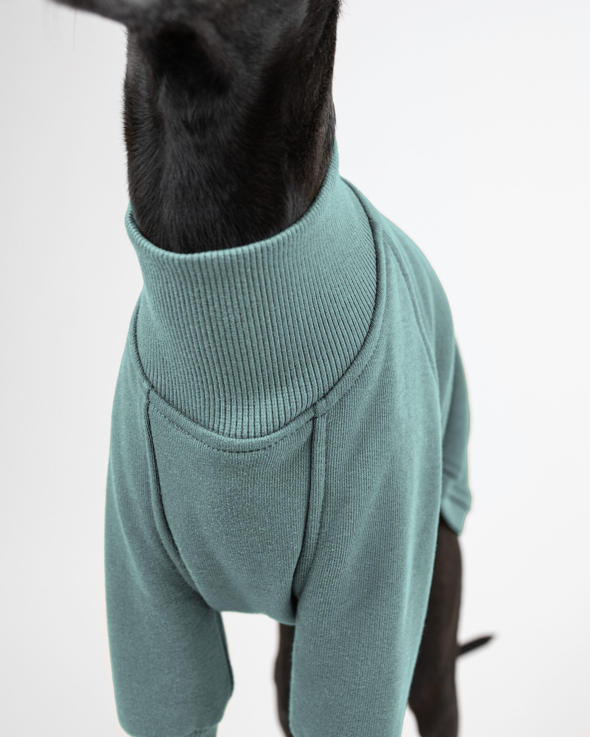 DumasGoods-italian-greyhound-clothes-elegant-jumper-iceberg close up of soft core jumper neck area in color iceberg