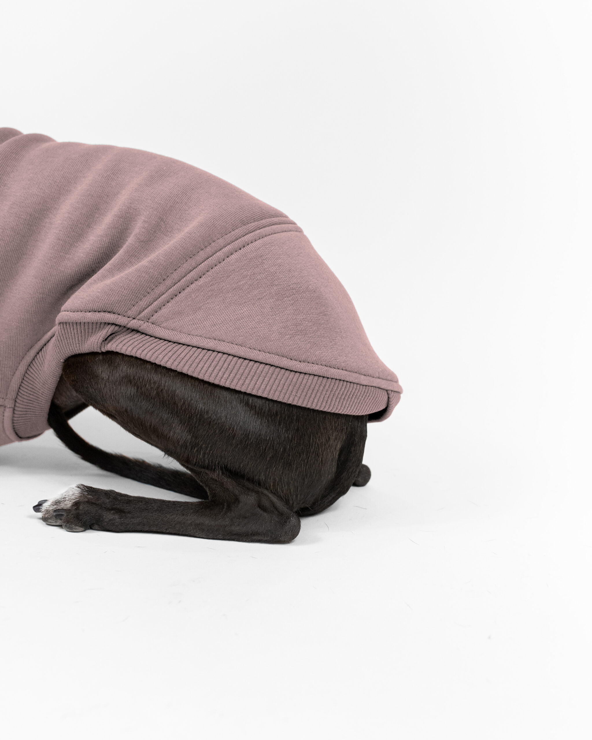 DumasGoods-italian-greyhound-clothes-jumper-warm-twilight-mauve back part of twilight mauve jumper