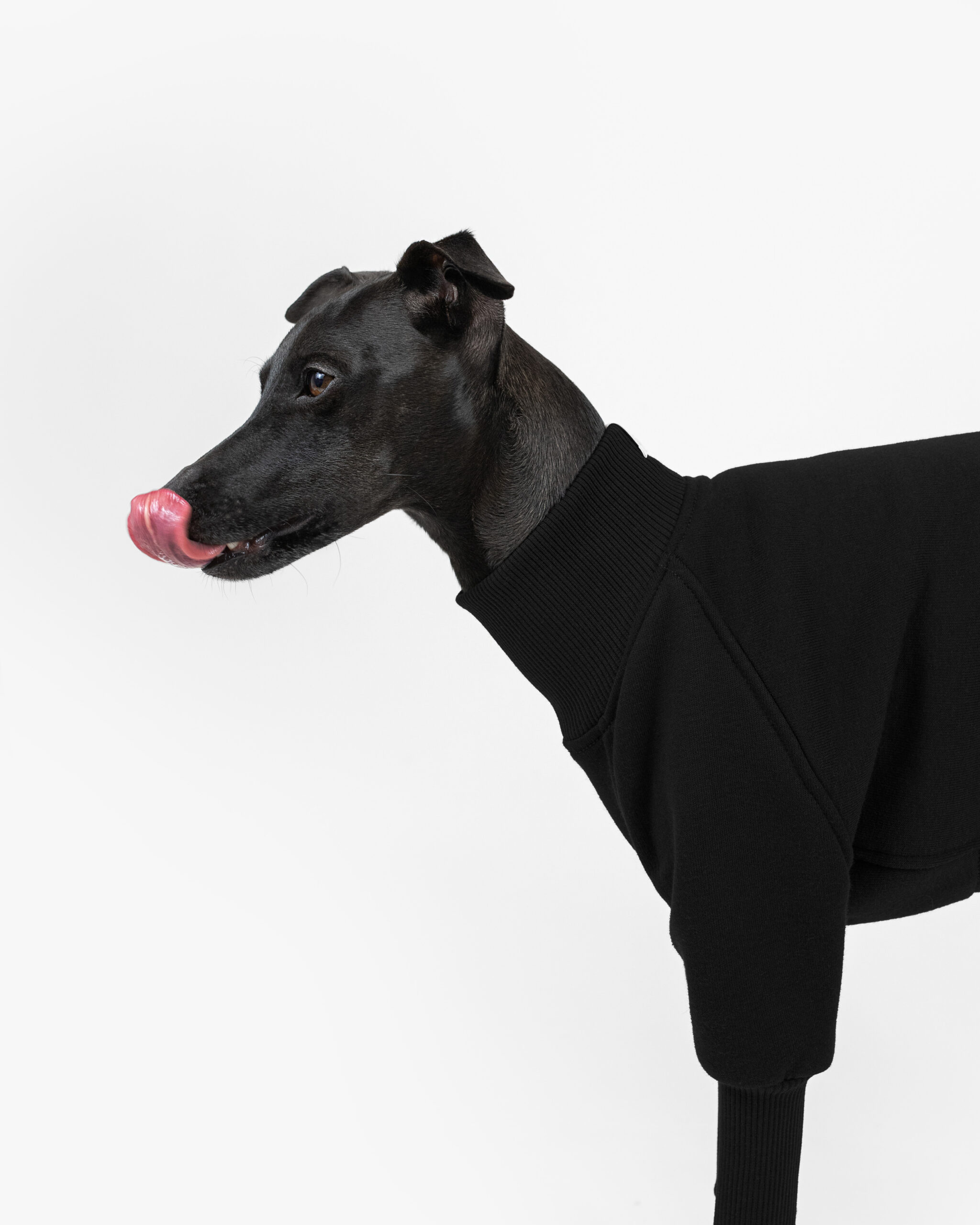 DumasGoods-quality-italian-greyhound-clothes-jumper-black close up of soft core jumper neck area in color black